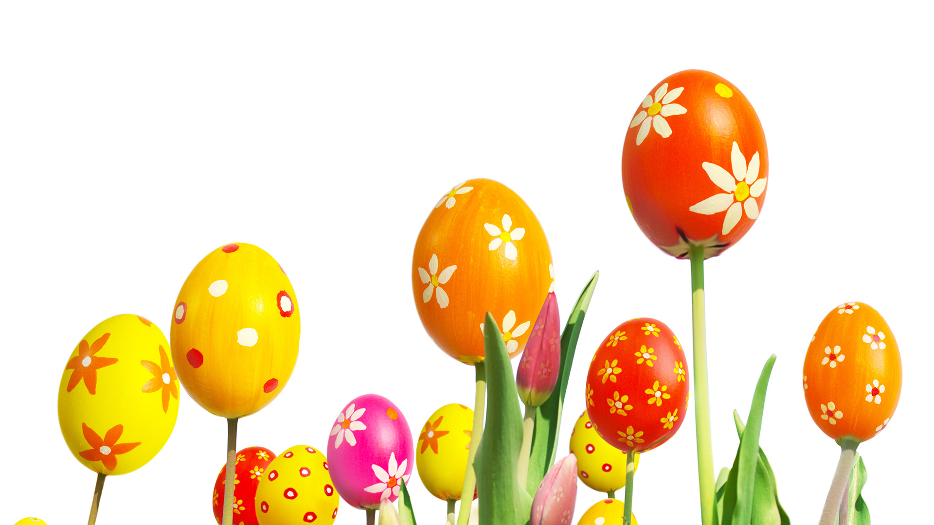 isee makelaars den haag