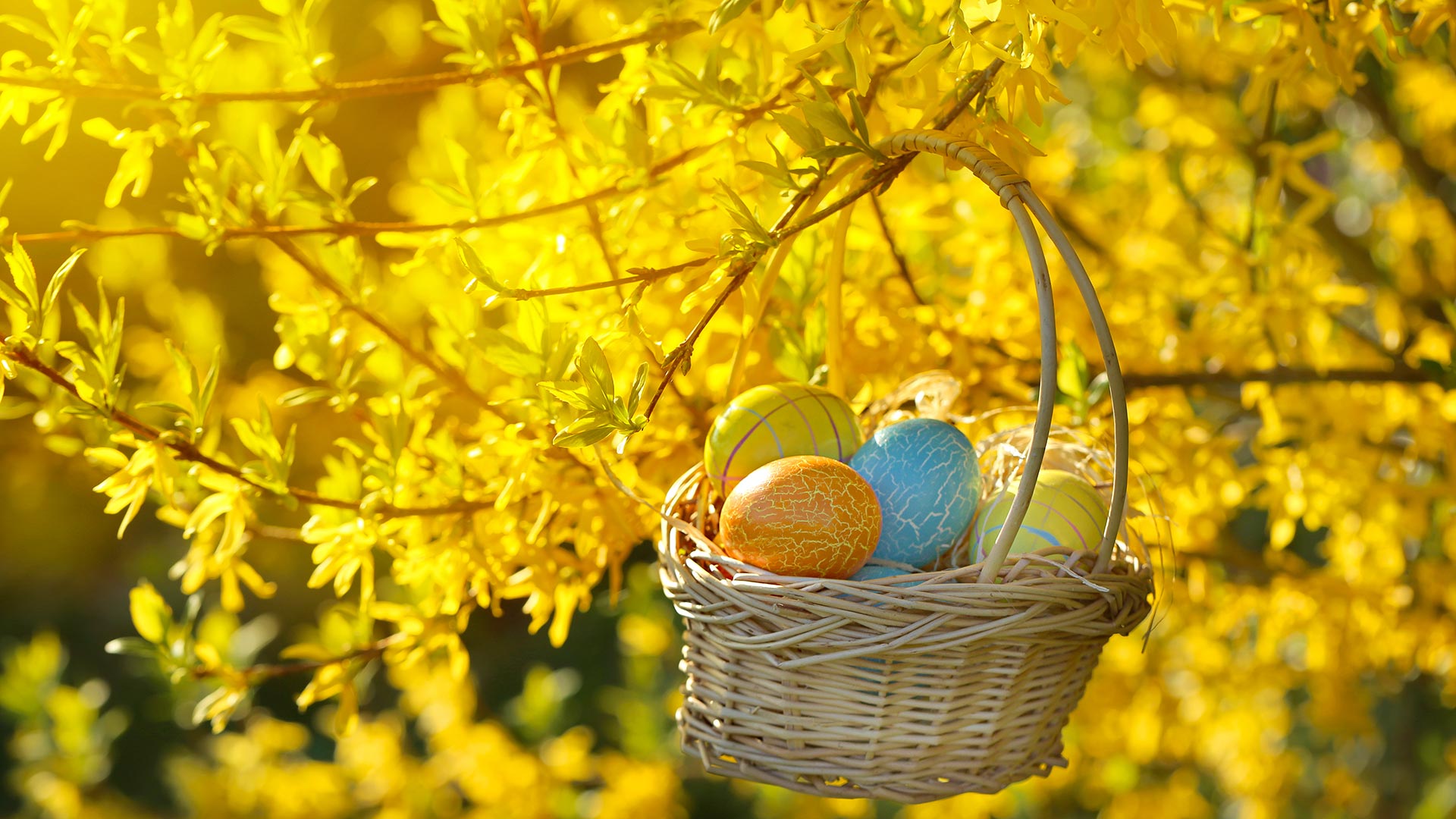 isee makelaars den haag