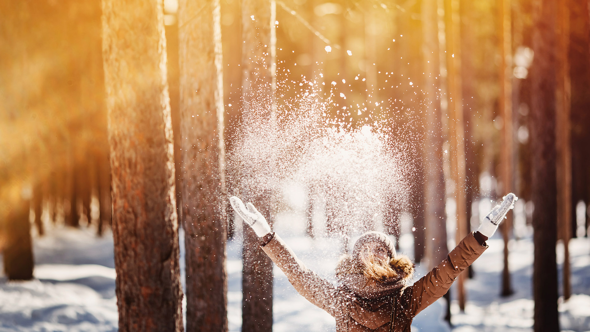 isee makelaars den haag